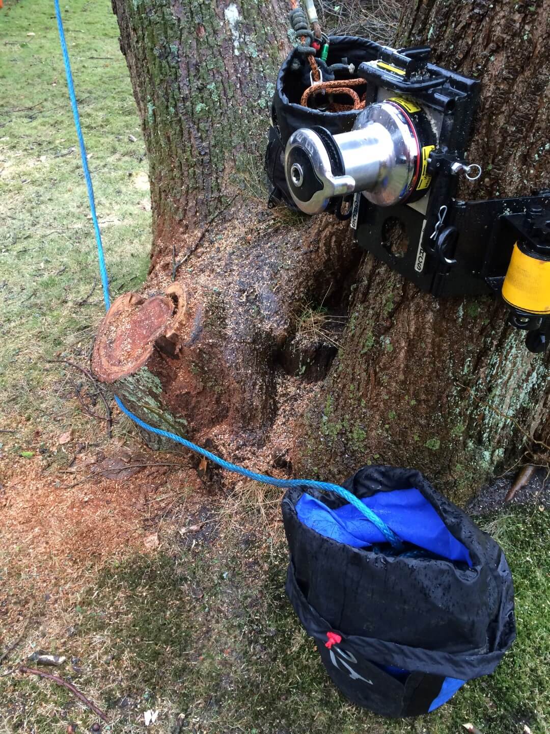 Vores GRCS er monteret, og klar til tung nedfiring. Man kan til venstre se, den brune farve som er nedbrudt ved. Dette kan være årsag til træet er døende.